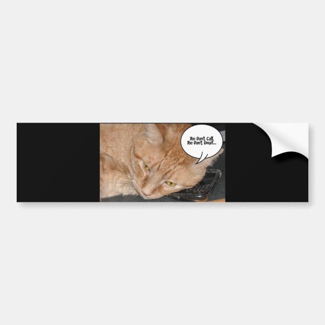 Orange Tabby Cat Humour/Cell Phone Bumper Sticker (Front)