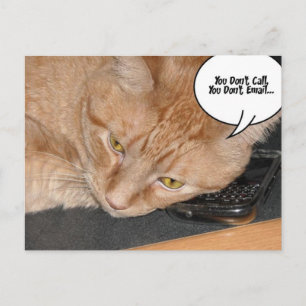 Orange Tabby Cat Humour Postcard