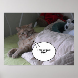 Orange Tabby Cat Humour Poster