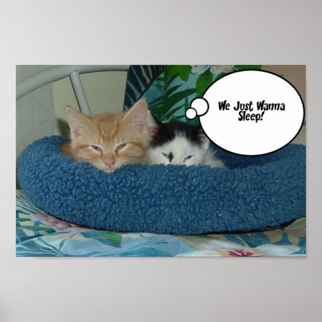 Orange Tabby Cat Humour Poster (Front)