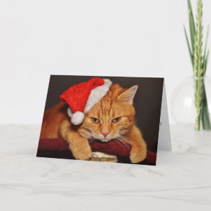 Orange Tabby Cat in a Santa Hat Holiday Card