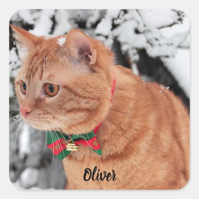 Orange Tabby Cat in the snow Square Sticker (Front)