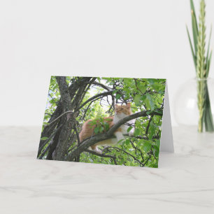 Orange Tabby Cat in Tree Card