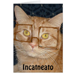 Orange Tabby Cat/Incognito