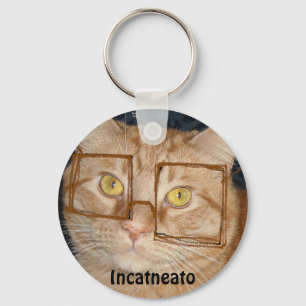 Orange Tabby Cat/Incognito Humour Key Ring
