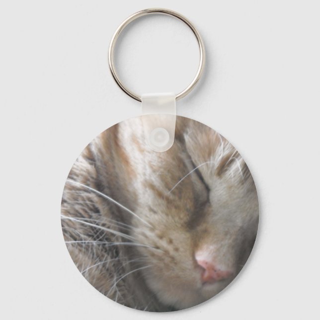 Orange Tabby Cat Key Ring (Front)