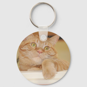 Orange Tabby Cat Key Ring