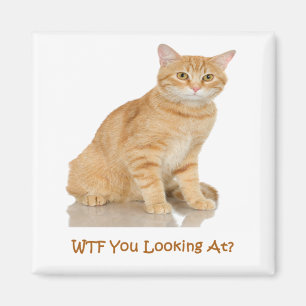 Orange Tabby Cat Magnet