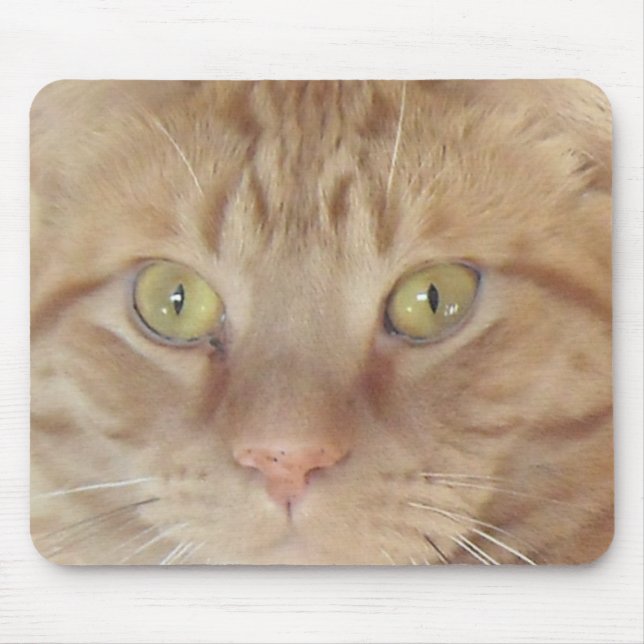 Orange Tabby Cat Mouse Pad (Front)