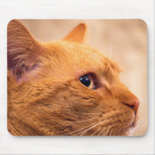 Orange Tabby Cat Mouse Pad Cosy Feline Portrait