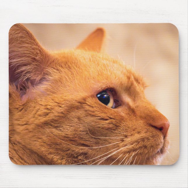Orange Tabby Cat Mouse Pad | Cosy Feline Portrait (Front)