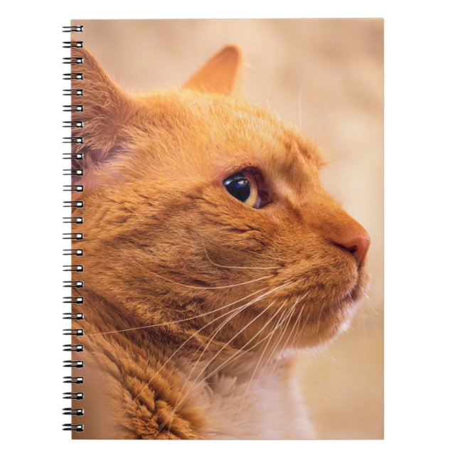 Orange Tabby Cat Notebook Curious Feline Notebook (Front)
