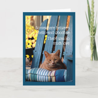 Orange Tabby Cat on Blue Chair Card