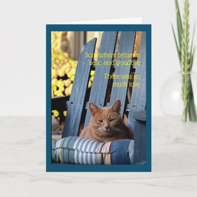 Orange Tabby Cat on Blue Chair  Card (Front)