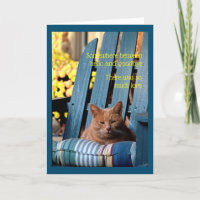 Orange Tabby Cat on Blue Chair