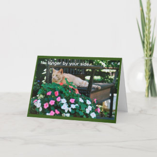 Orange Tabby Cat on Garden Bench Sympathy Card