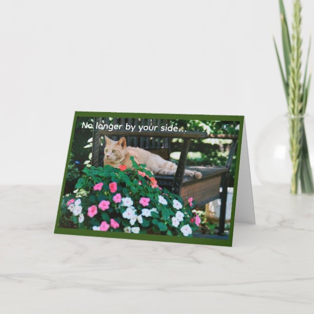 Orange Tabby Cat on Garden Bench Sympathy Card (Front)