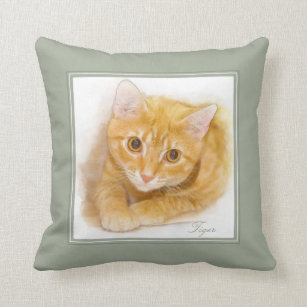 Orange Tabby Cat Painting Cushion