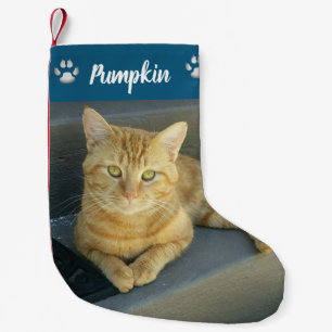 Orange Tabby Cat Pet Photo Blue Personalised Small Christmas Stocking