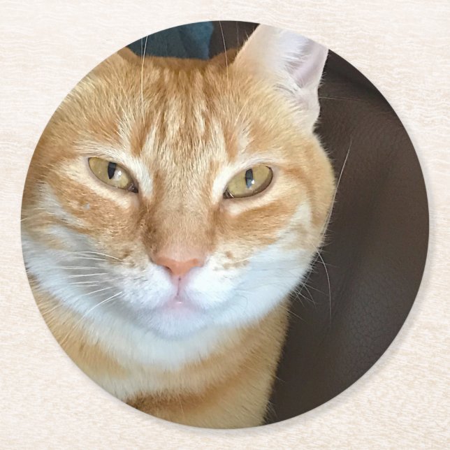 Orange tabby cat round paper coaster (Front)