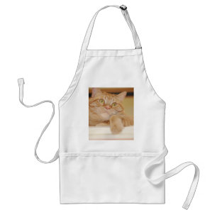 Orange Tabby Cat Standard Apron