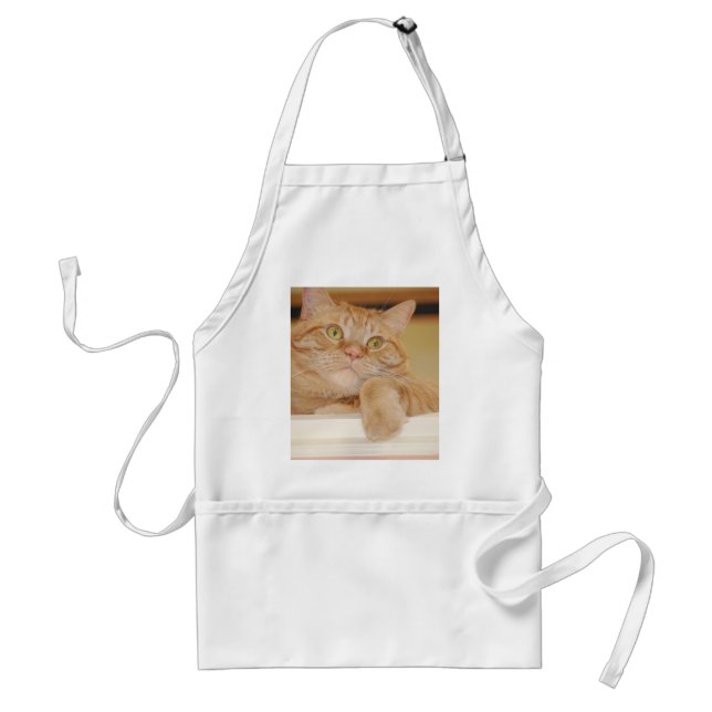 Orange Tabby Cat Standard Apron (Front)