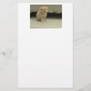 Orange Tabby Cat Stationery