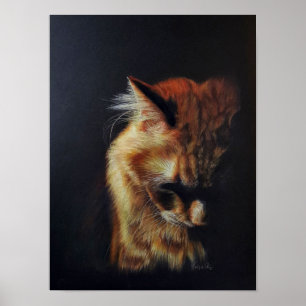 Orange Tabby Cat "Stay Strong" Coloured Pencil Art Poster