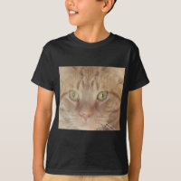 Orange Tabby Cat