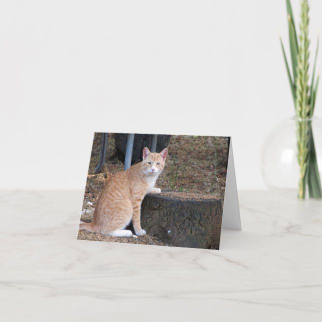 Orange Tabby Cat Thank You Note Card (Front)