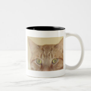 Orange Tabby Cat Two-Tone Coffee Mug