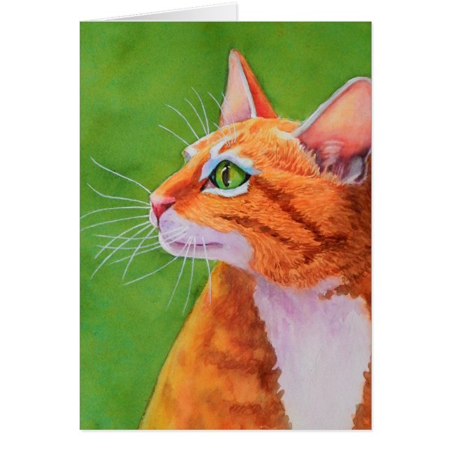 Orange Tabby Cat Whiskers (Front)