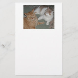 Orange Tabby Cat/white and Orange Tabby Stationery