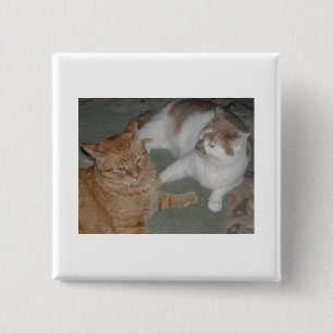 Orange Tabby Cats 15 Cm Square Badge