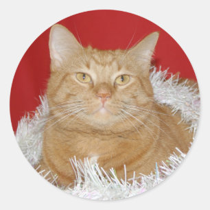 Orange tabby Christmas Classic Round Sticker