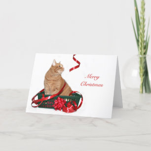 Orange tabby Christmas Holiday Card