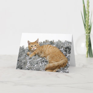 Orange tabby Christmas Holiday Card