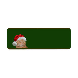 Orange tabby Christmas Return Address Label