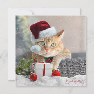 Orange Tabby FLAT 5.25-inch Christmas Card