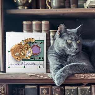 Orange Tabby Food Bowl Kitchen Ceramic Tile