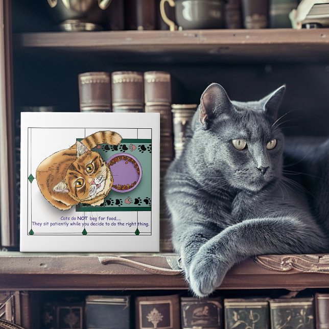 Orange Tabby Food Bowl Kitchen Ceramic Tile (Creator Uploaded)