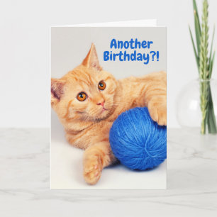 Orange Tabby Have a Ball (of yarn) Birthday Card
