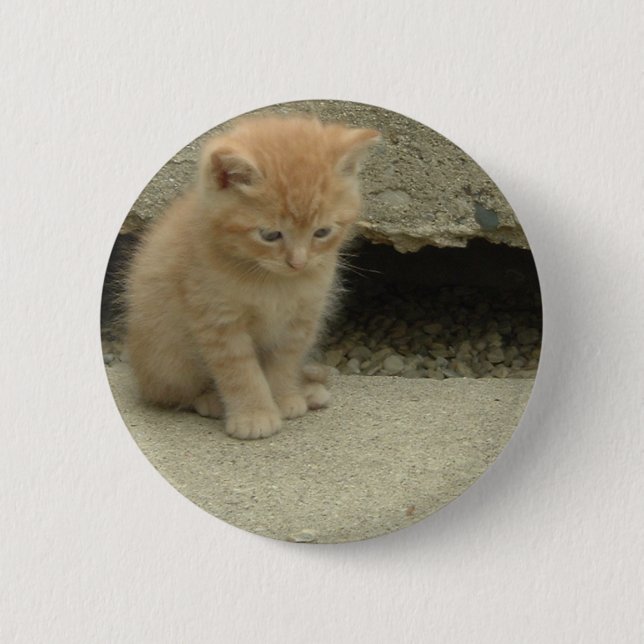 Orange Tabby Kitten 6 Cm Round Badge (Front)