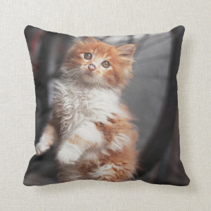 Orange Tabby Kitten Cushion