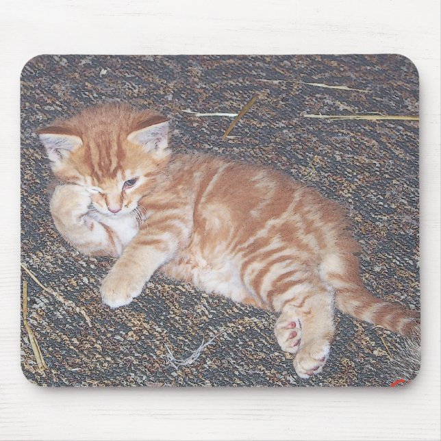 Orange Tabby Kitten Mouse Pad (Front)