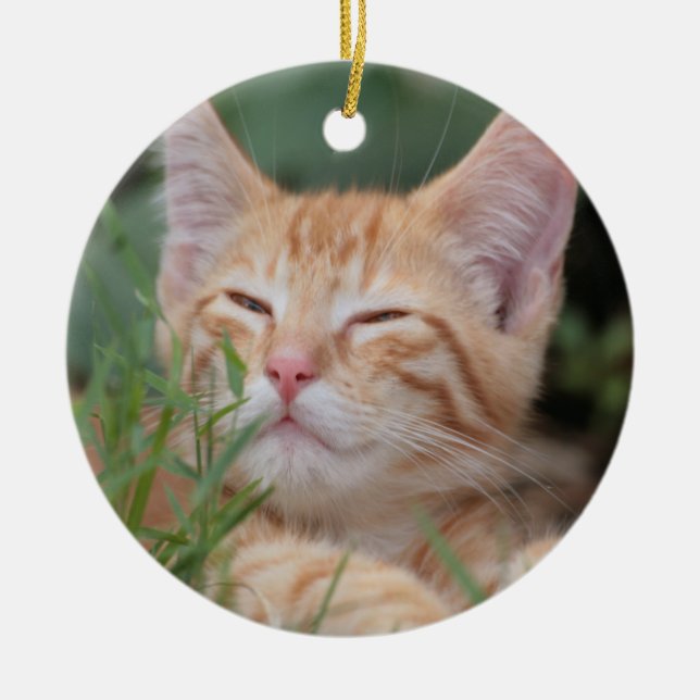 Orange Tabby Kitten ornament (Front)