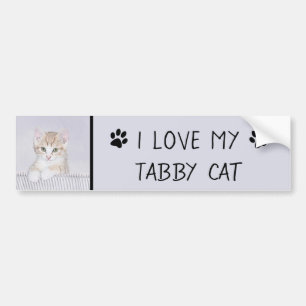 Orange Tabby Kitten Painting - Original Cat Art Bumper Sticker