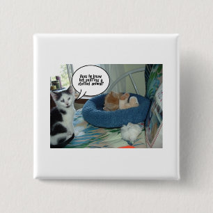 Orange Tabby Kitty Cat 15 Cm Square Badge