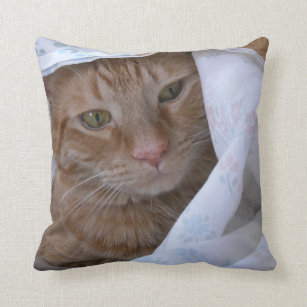 Orange Tabby Kitty Cat Cushion