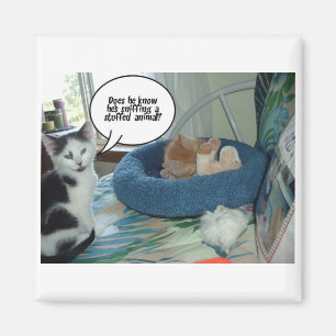 Orange Tabby Kitty Cat Magnet